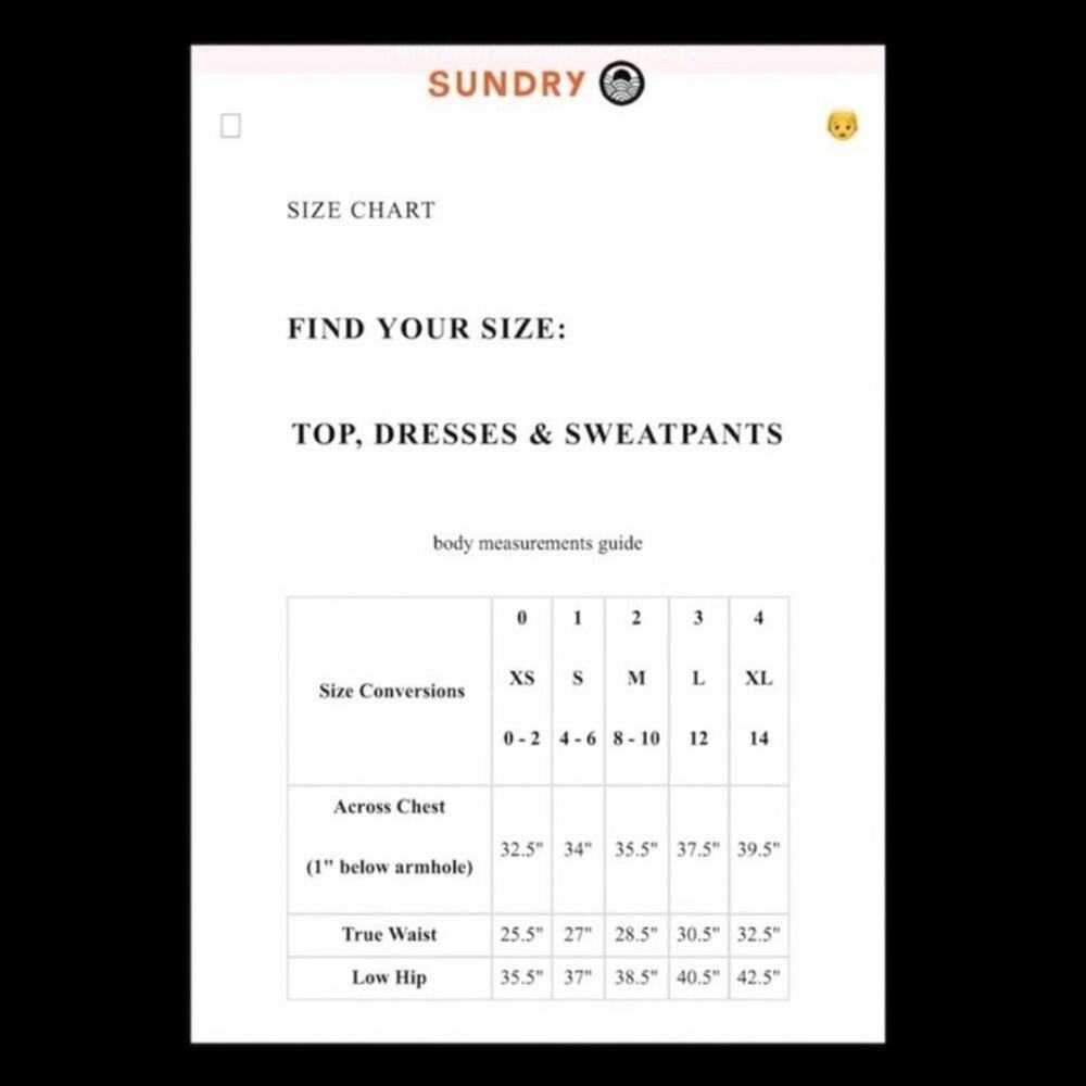 Sundry Triangle Sweatpants. - Picture 3 of 4